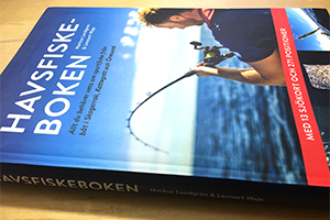 KJV En förälder blir till